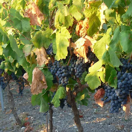 Pessighette Dimora Di Campagna Bosa